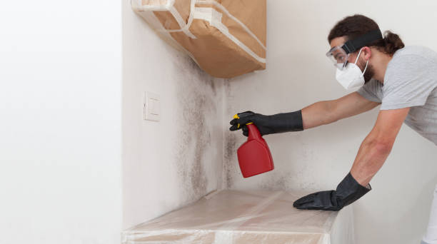 Professional Mold Remediation technician working in Higgins Lake, MI