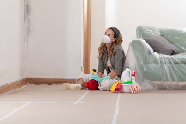 Reliable Mold Remediation contractor in Higgins Lake, MI by WQB Mold Removal